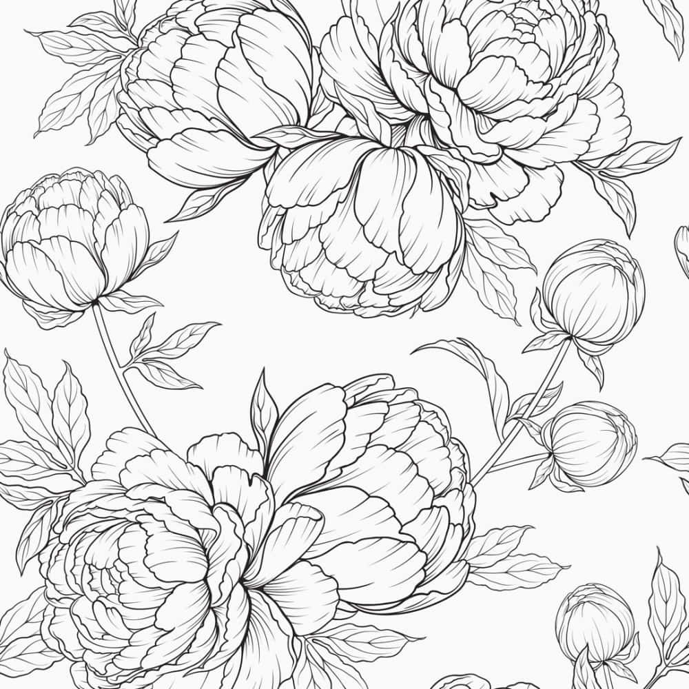 Monochrome Elegance - A Beautiful Black And White Flower Wallpaper