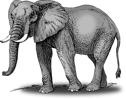 Monochrome Elephant Illustration PNG