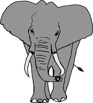 Monochrome Elephant Illustration PNG