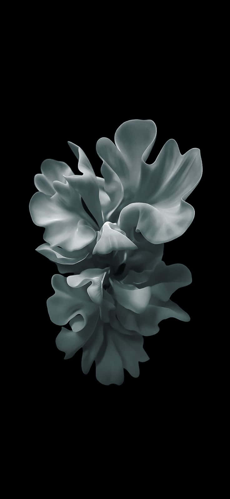 Monochrome Floral Artwork Wallpaper