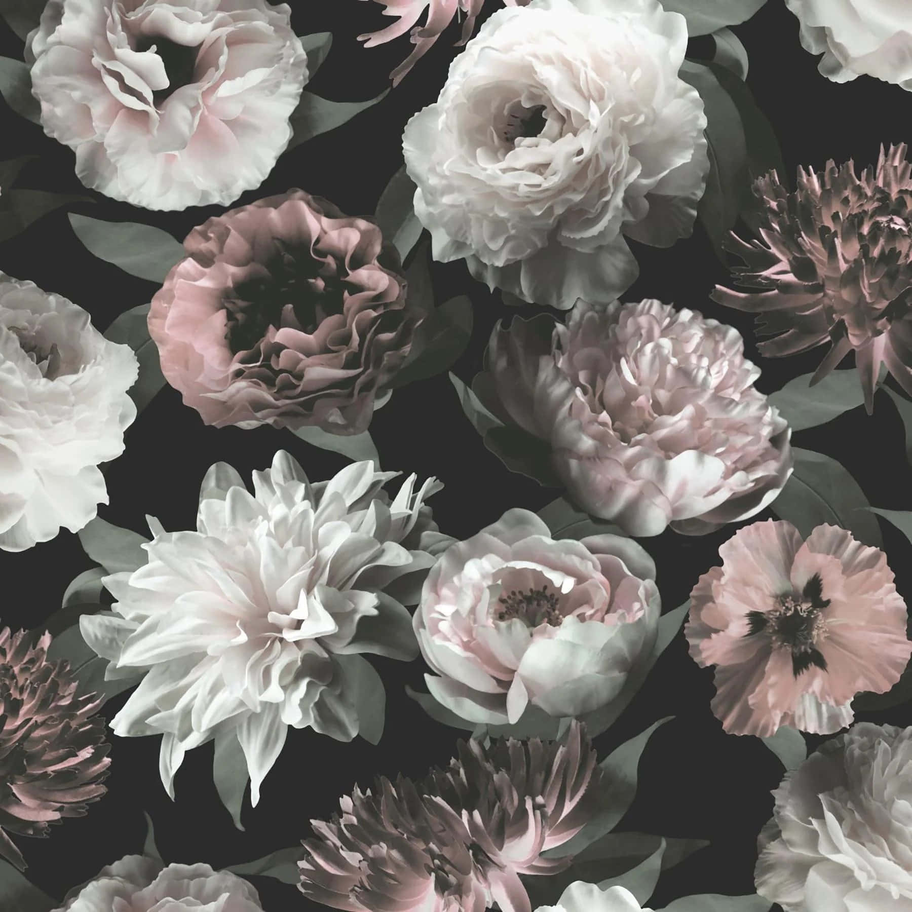 Monochrome Floral Pattern Design Wallpaper