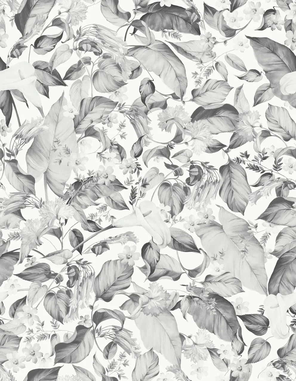 Monochrome_ Floral_ Pattern Wallpaper