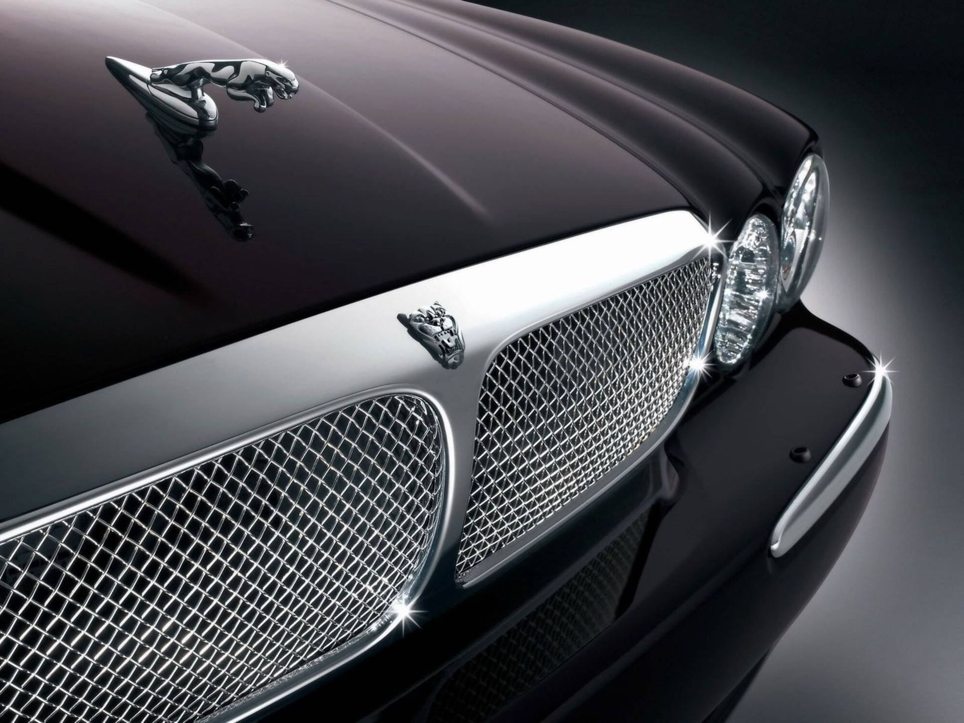 A Closer Look at the Sleek Monochrome Front Bumper of a Jaguar Car Wallpaper