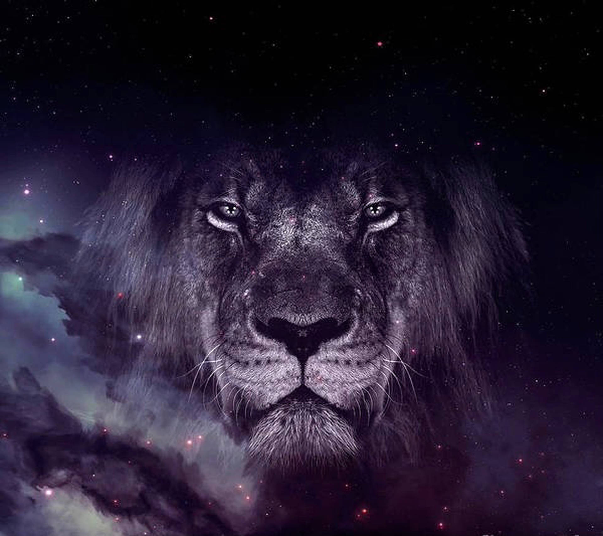 Monochrome Galaxy Lion Wallpaper