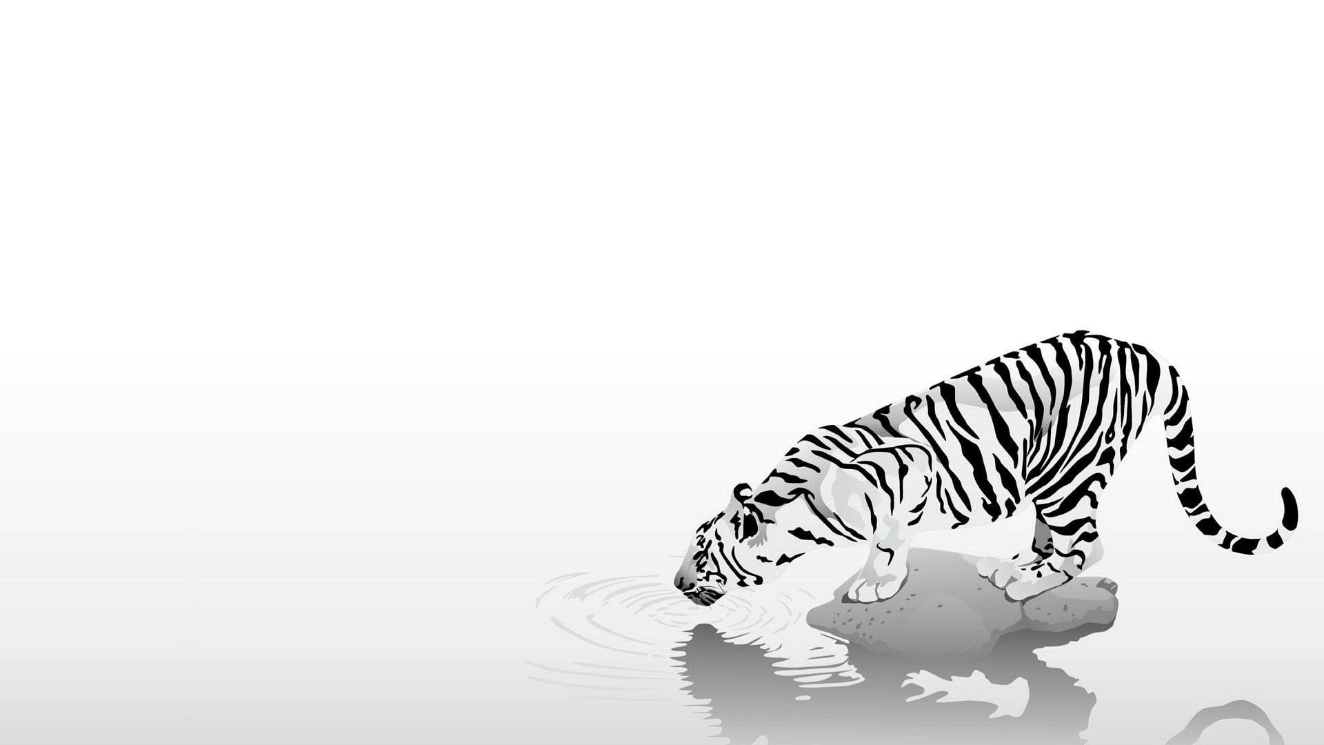 Monochrome Harimau Drinking Water Wallpaper