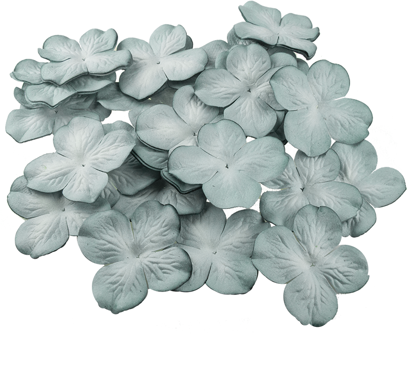 Monochrome Hydrangea Blooms PNG