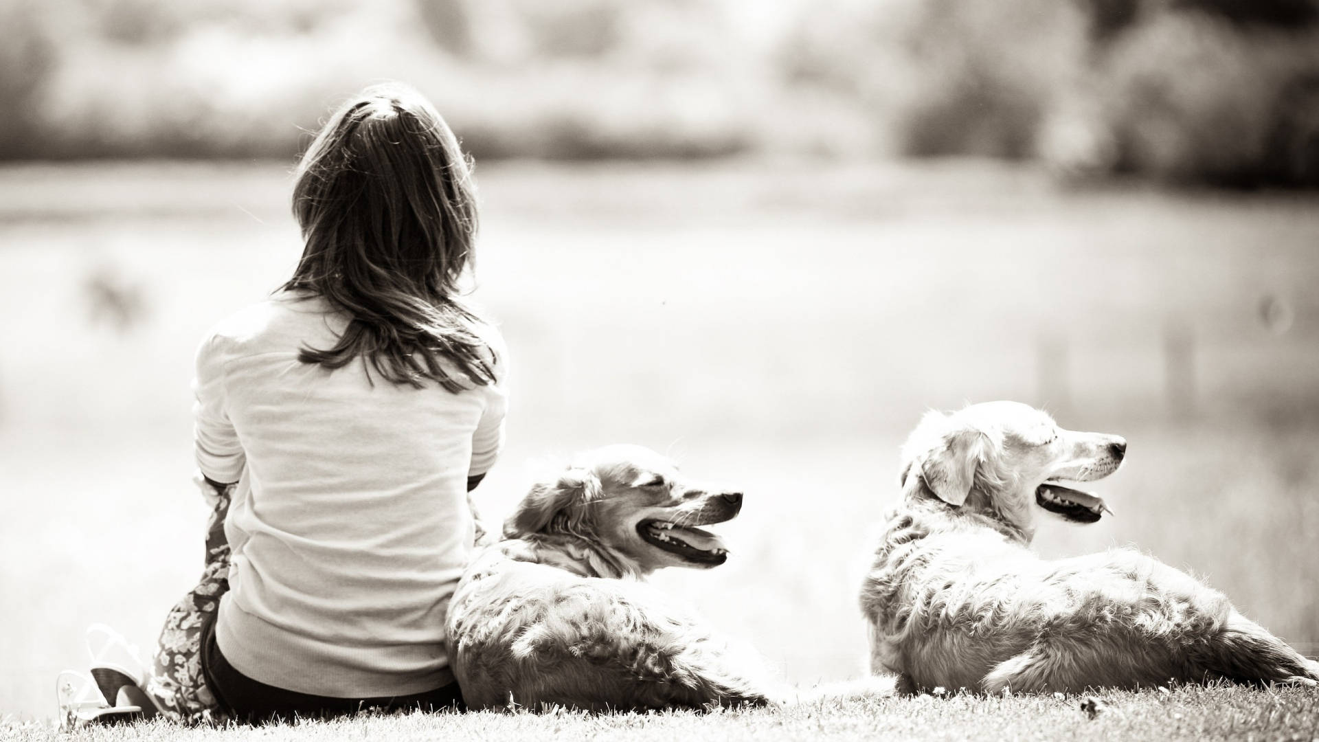 Monochrome Image Of A Dog And Girl Wallpaper