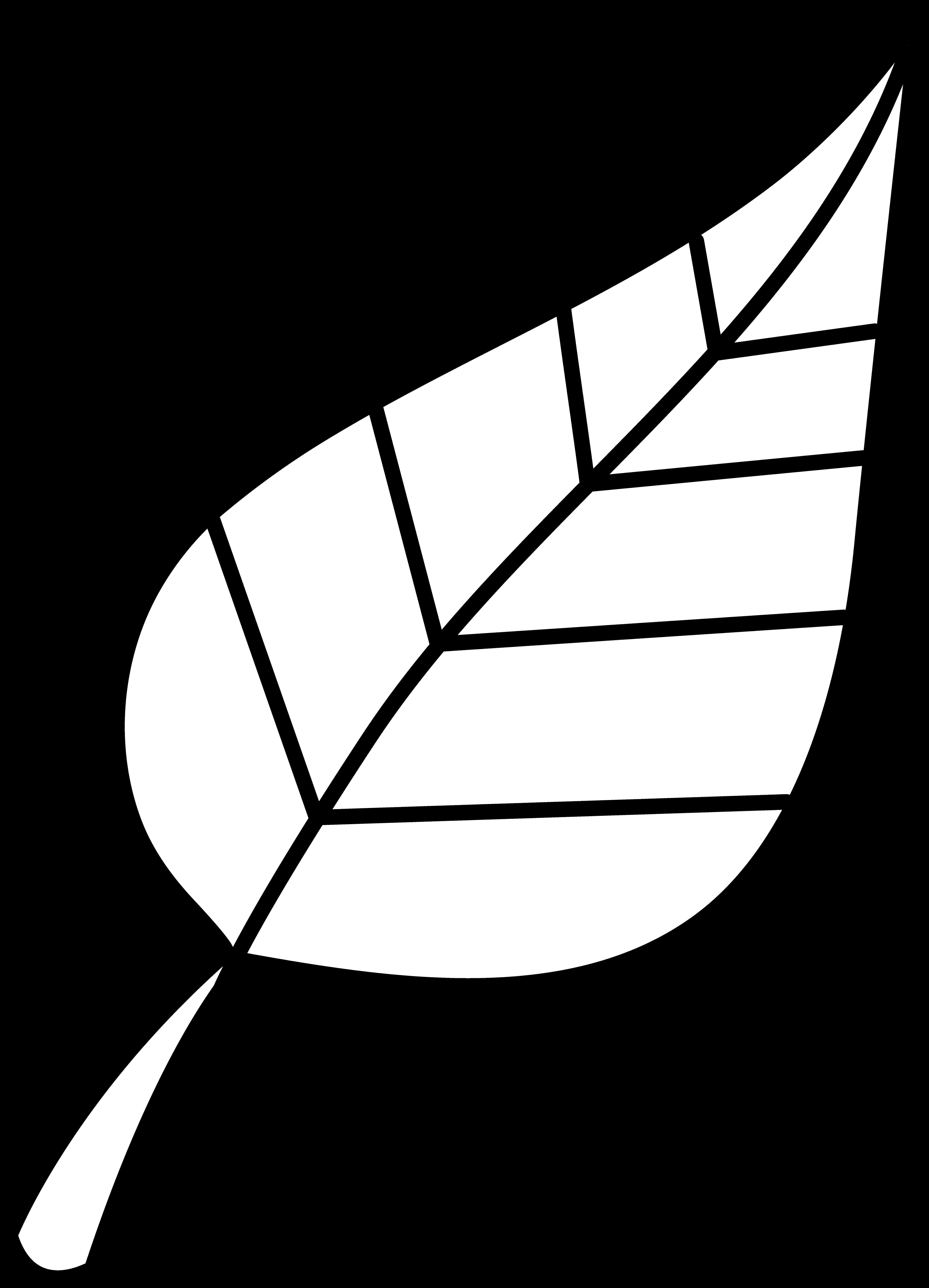 Simplified Leaf Graphic Blackand White PNG