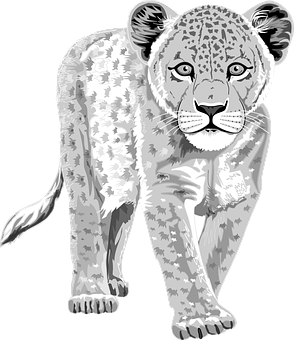 Monochrome Leopard Illustration PNG