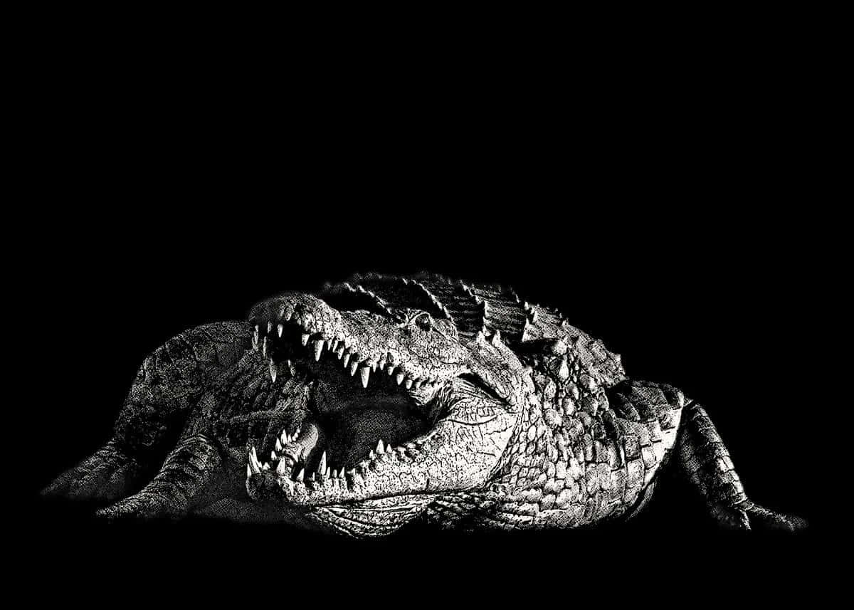 Monochrome Majesty Crocodile Wallpaper