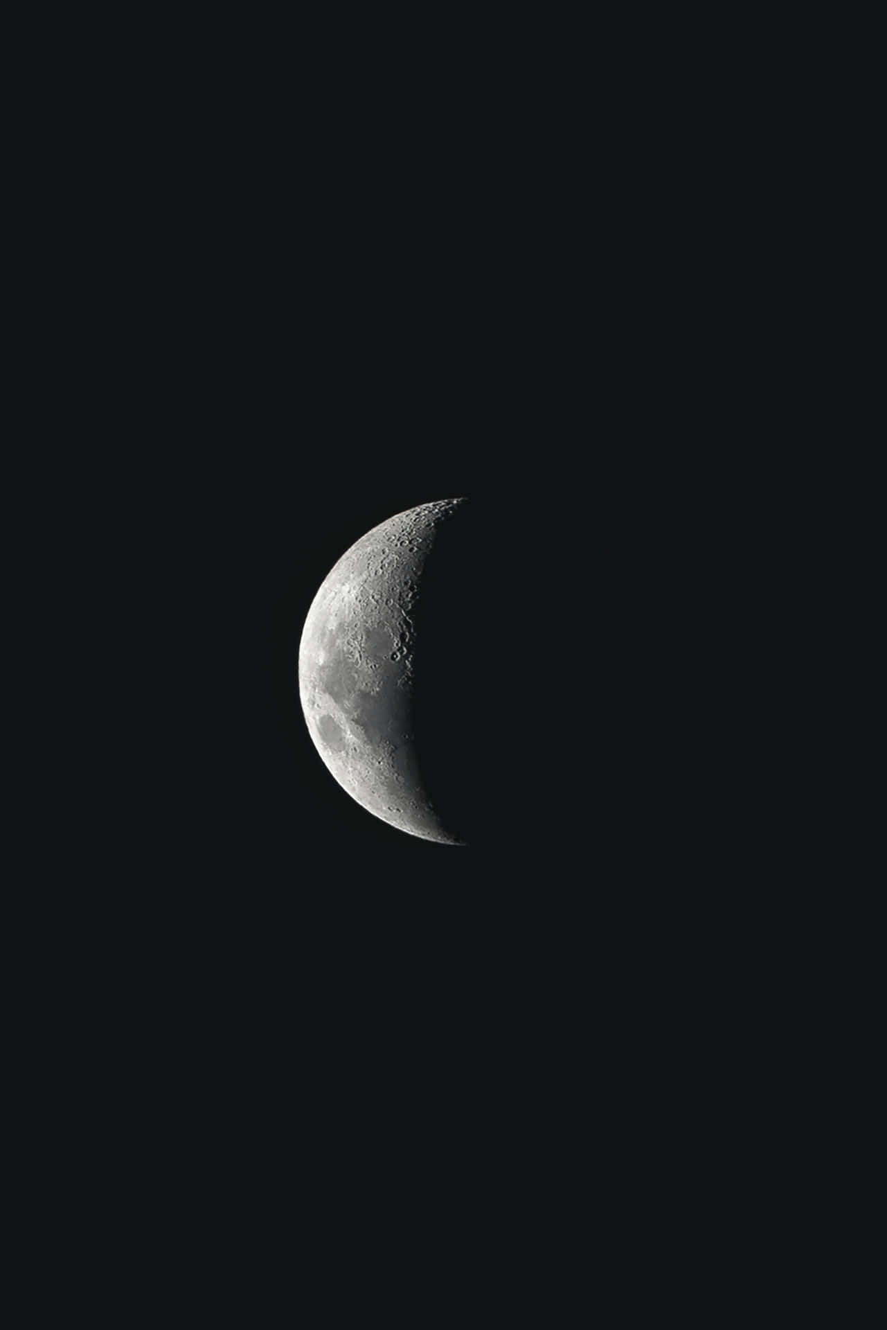Monochrome Moon With Shadow Wallpaper