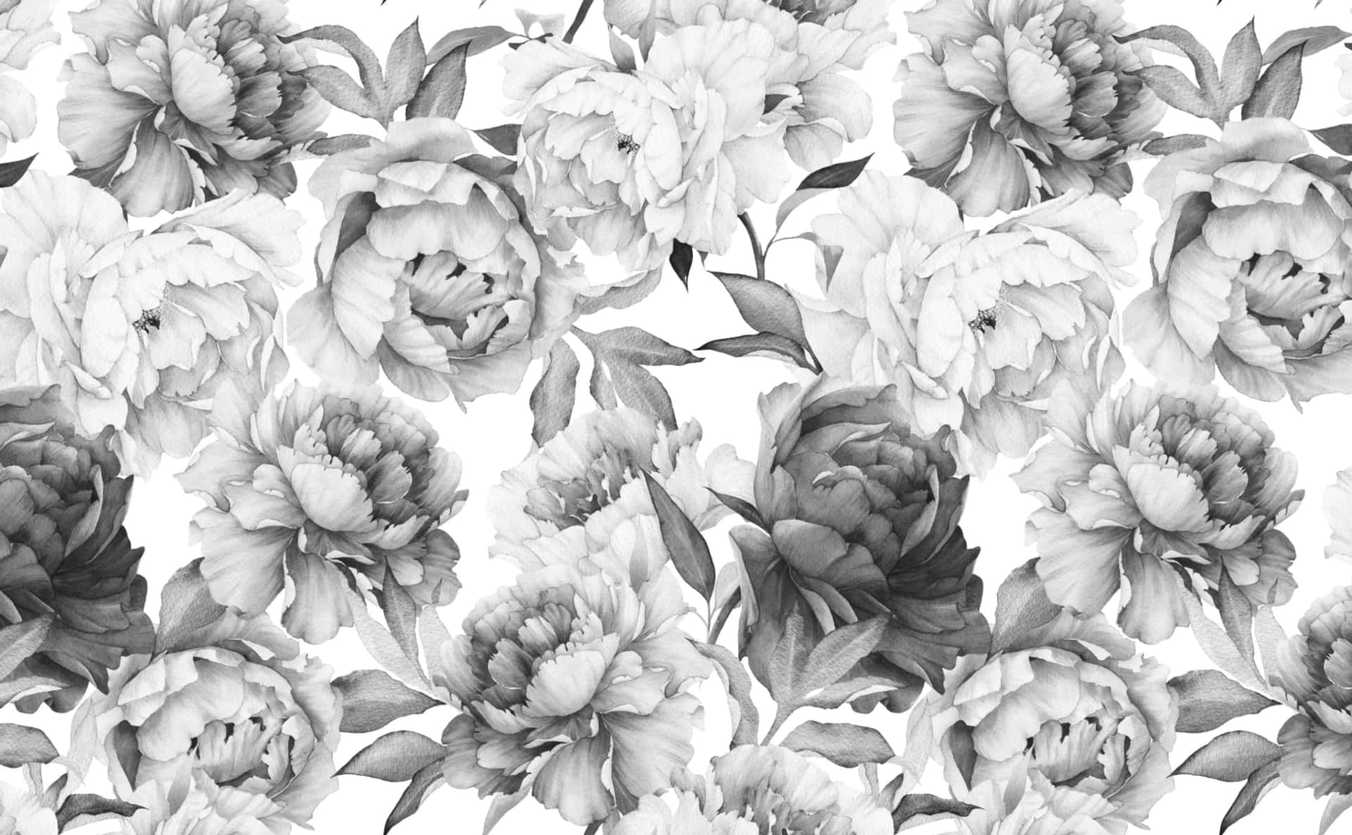 Pola Peony Monokrom Wallpaper