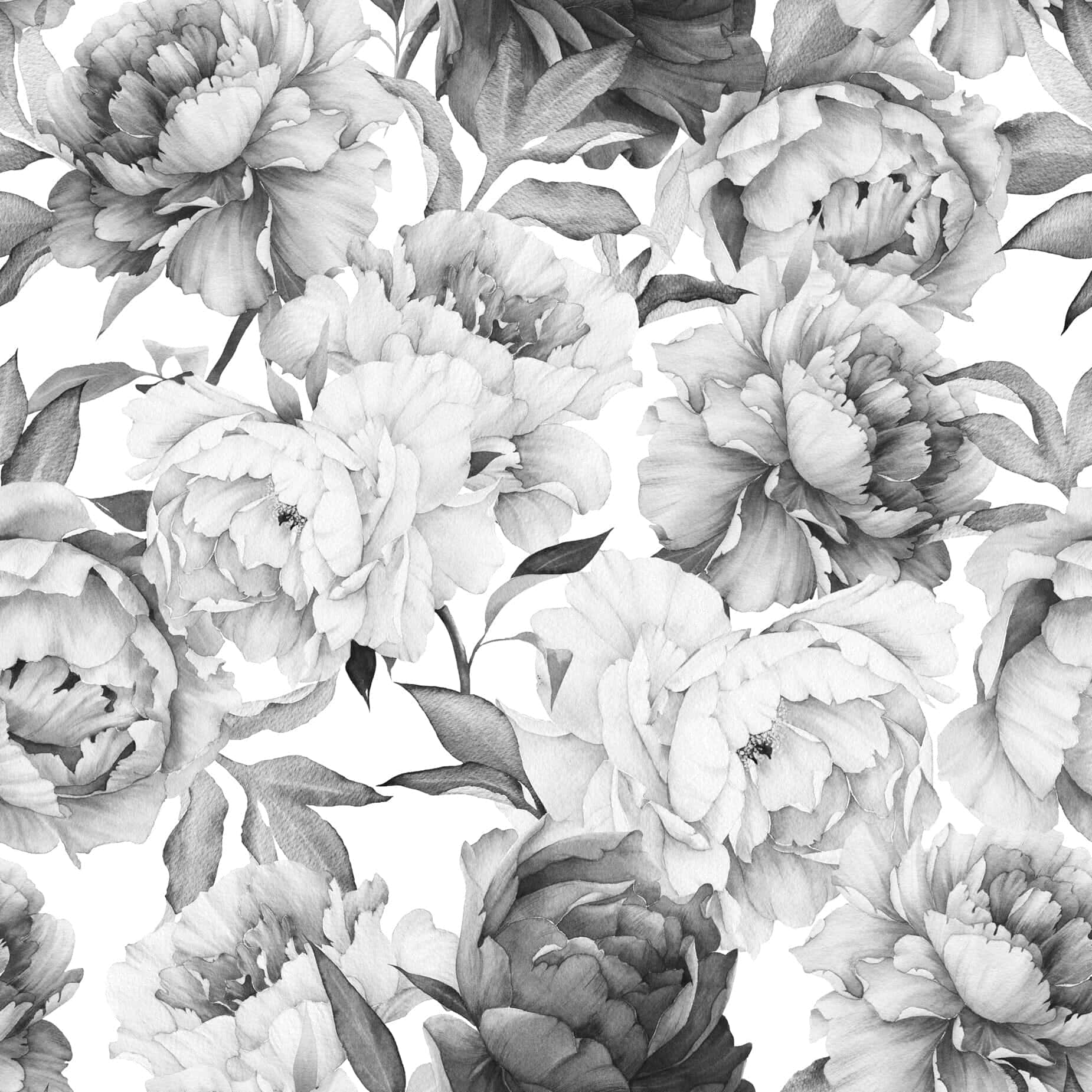 Pola Peony Monokrom Wallpaper