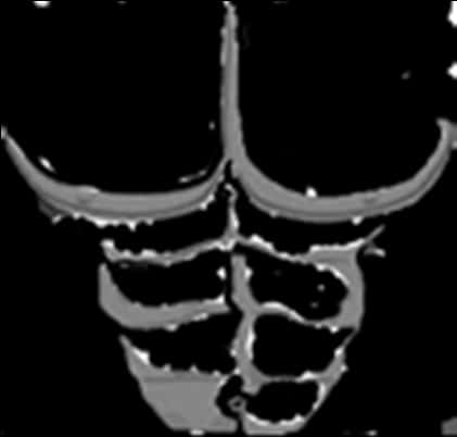 Monochrome Skull Graphic PNG