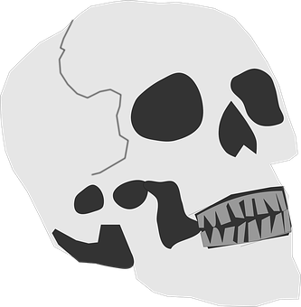 Monochrome Skull Illustration PNG
