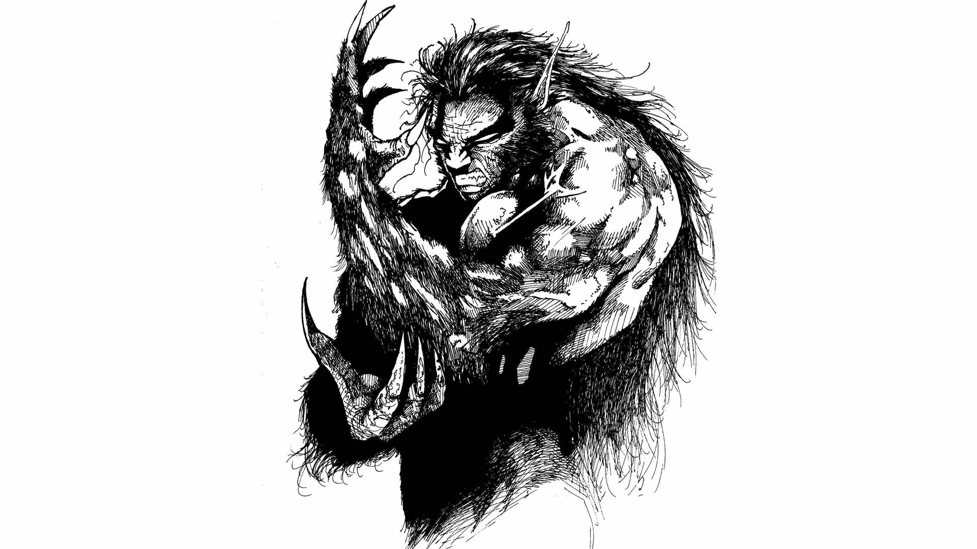Bocetode Hombre Lobo Monocromático Con Tinta Fondo de pantalla