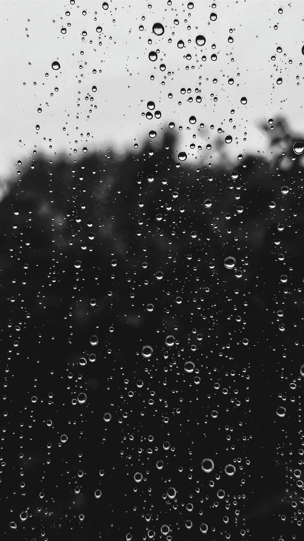 Monochrome Window With Beautiful Rain Droplets Wallpaper