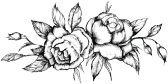 Monochrome_ Rose_ Sketch_ Artwork PNG