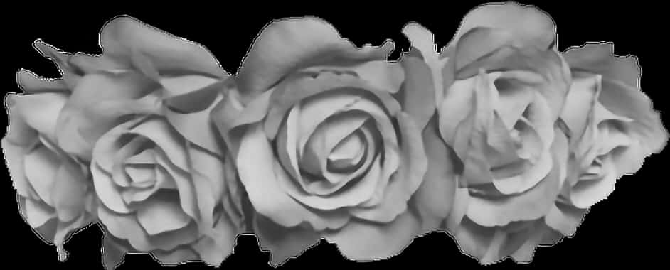 Monochrome_ Rose_ Trio PNG