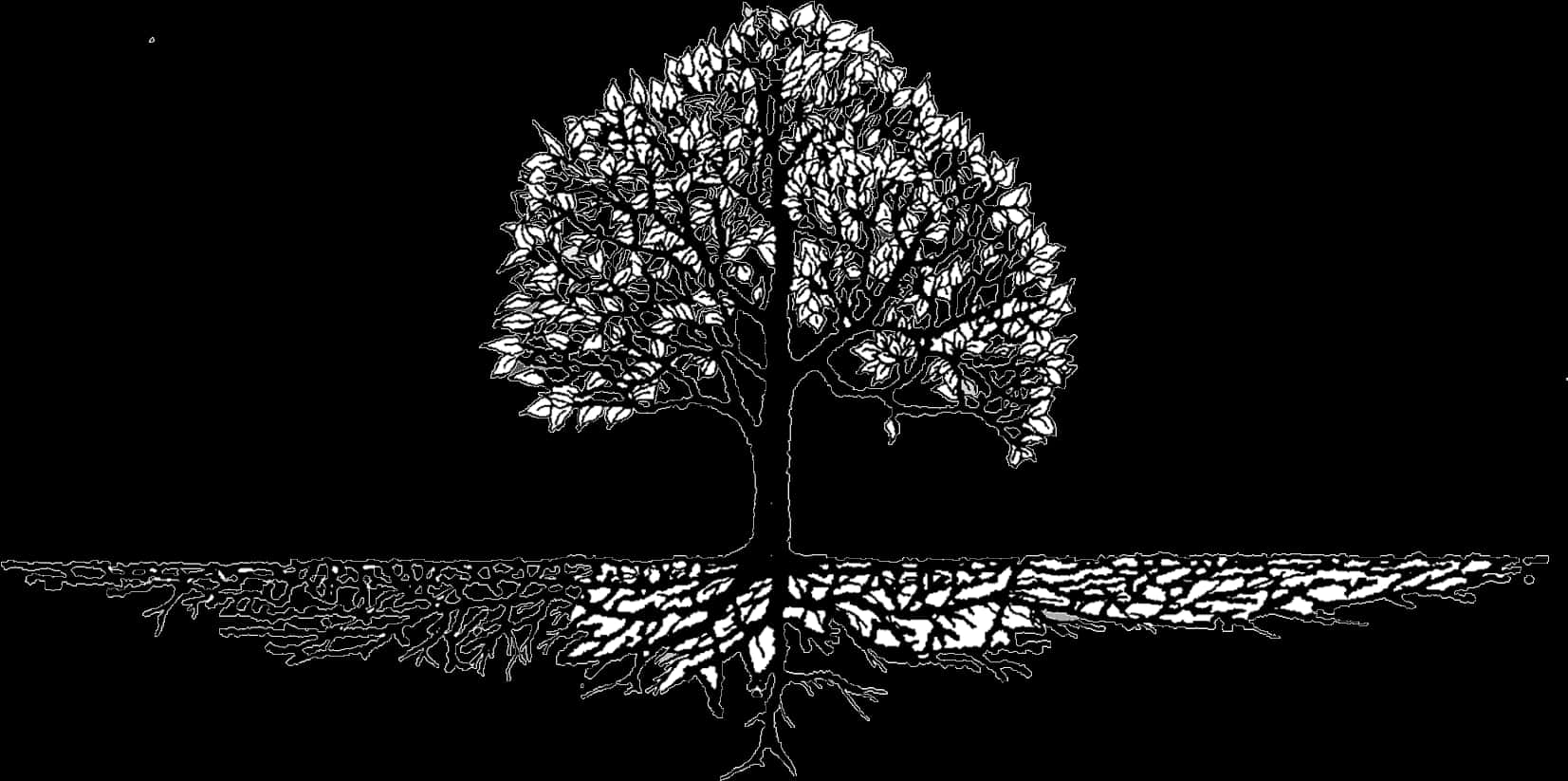 Monochrome_ Tree_ Silhouette_with_ Reflections PNG