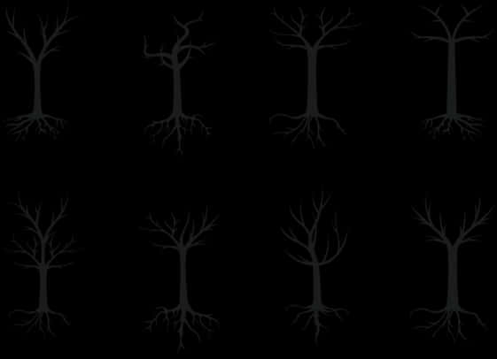Monochrome_ Tree_ Silhouettes_ Pattern.jpg PNG