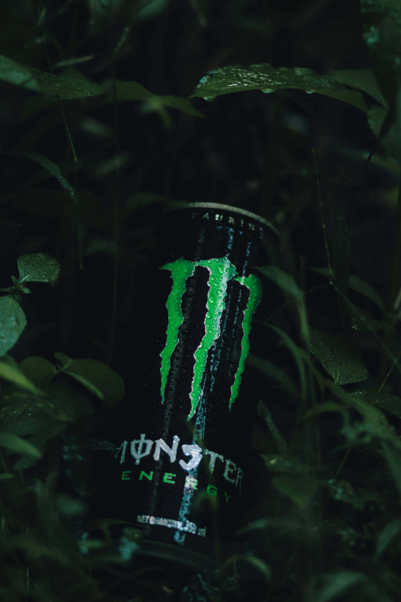 Unleash the beast with Monster Energy