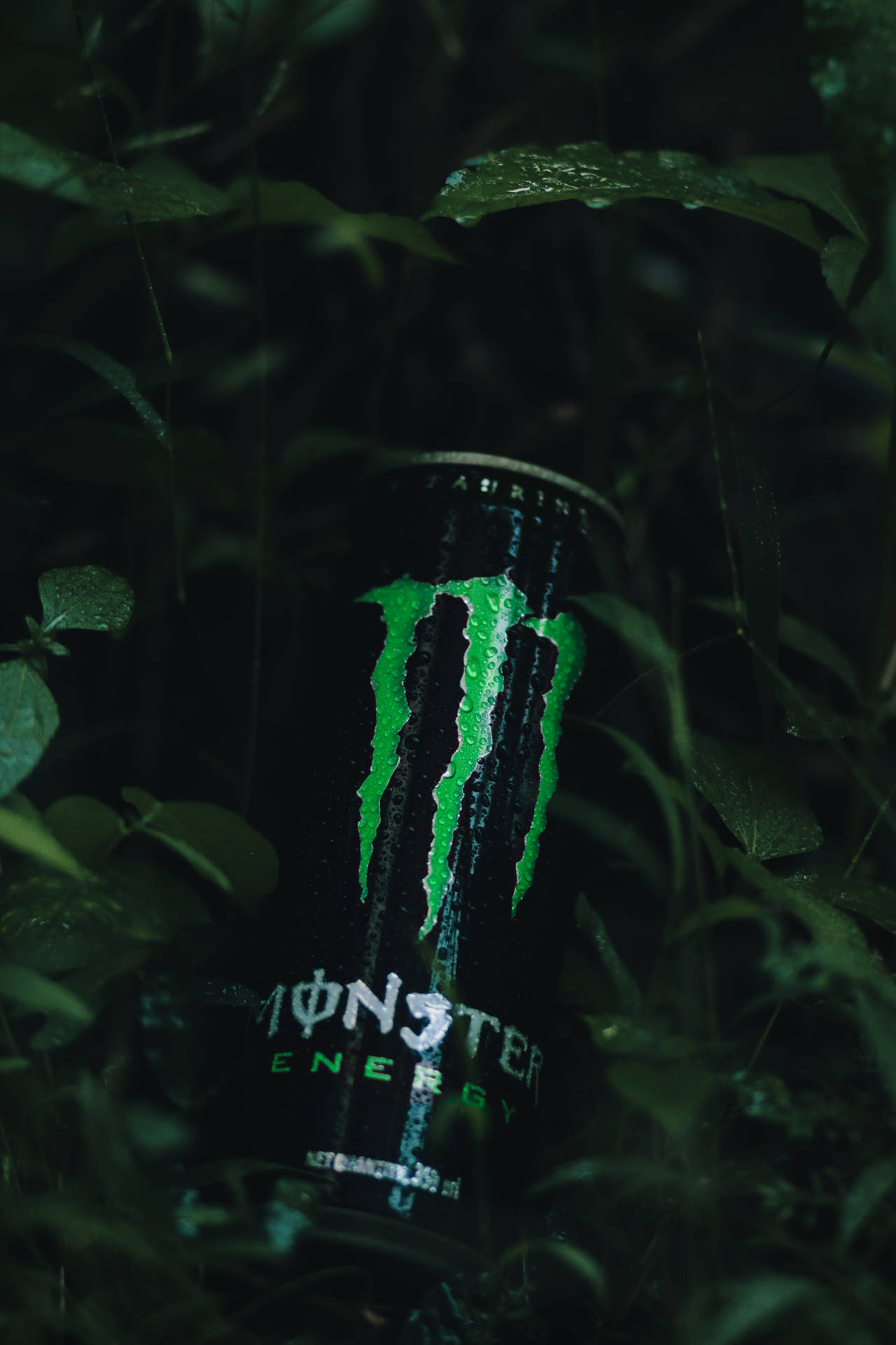 Monster Energy Drink With Leaves Wallpaper