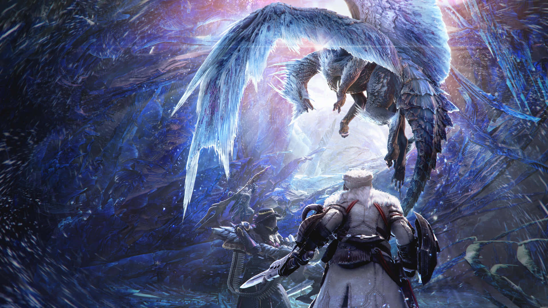 Explore the Wild Frontier with a Friend in Monster Hunter 3 Wallpaper