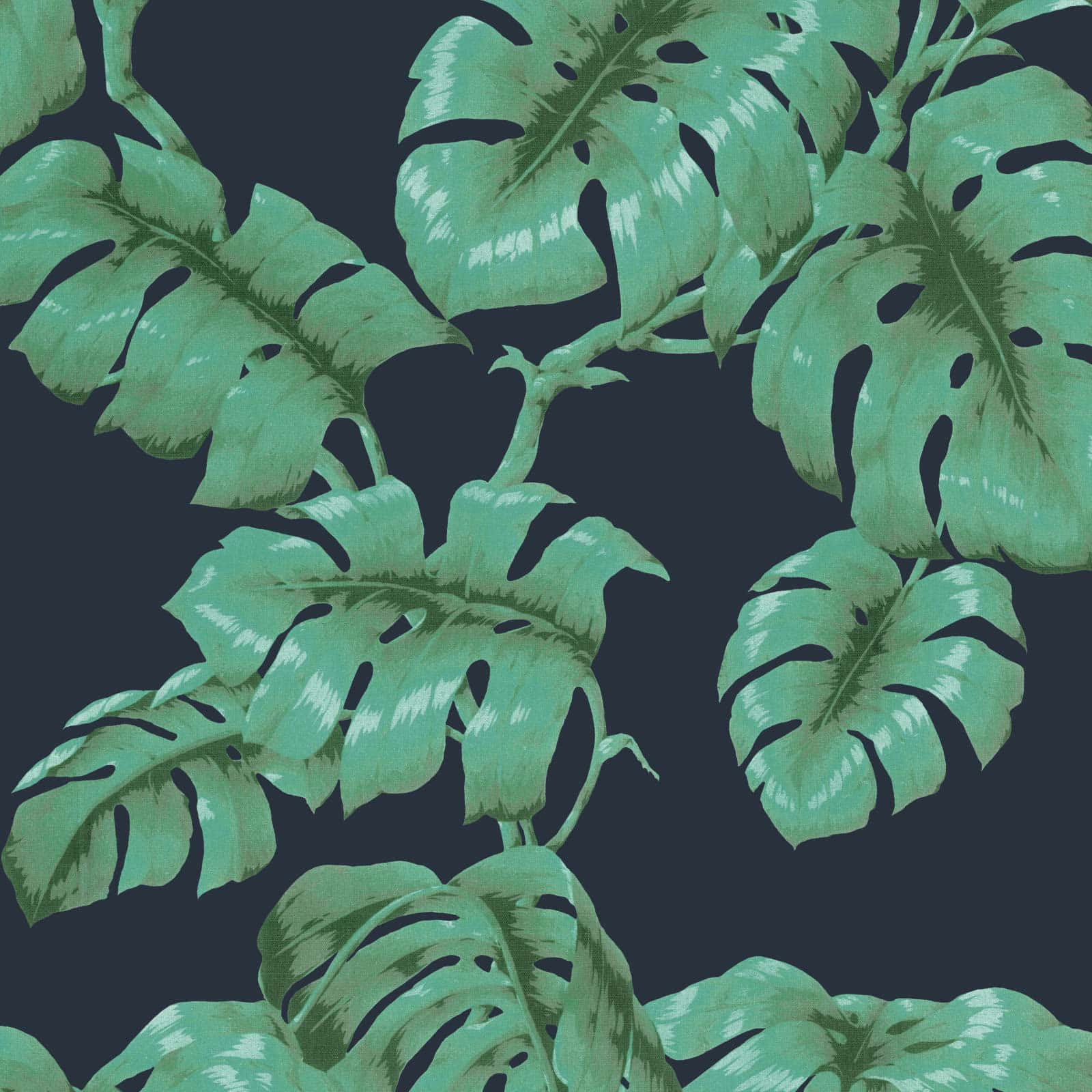 Enjoying Nature - Looking out over the exotic Monstera leaf