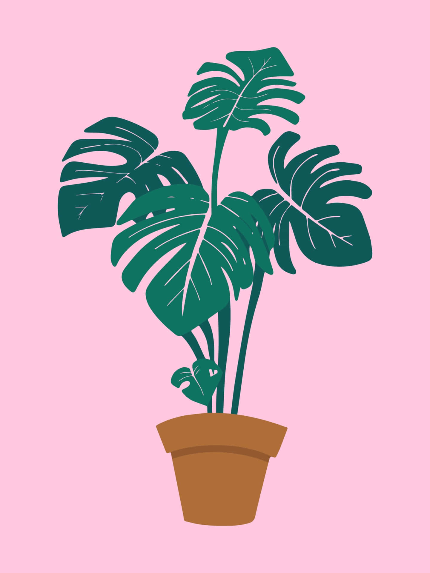 Einemonstera-pflanze In Einem Topf Auf Einem Rosa Hintergrund
