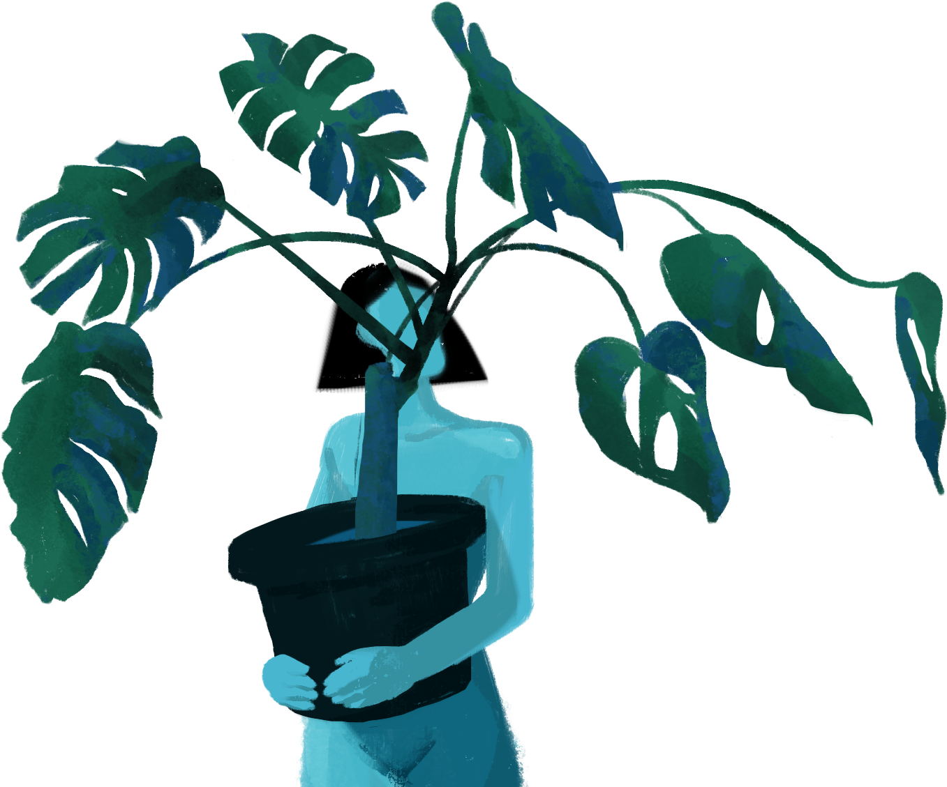 Monstera Deliciosa Indoor Plant Illustration PNG