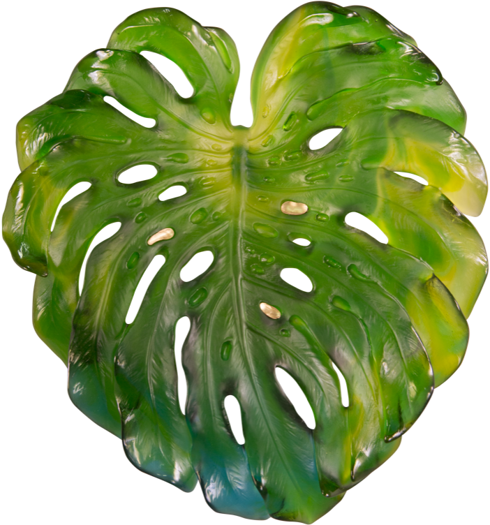Monstera Deliciosa Leaf Isolated PNG