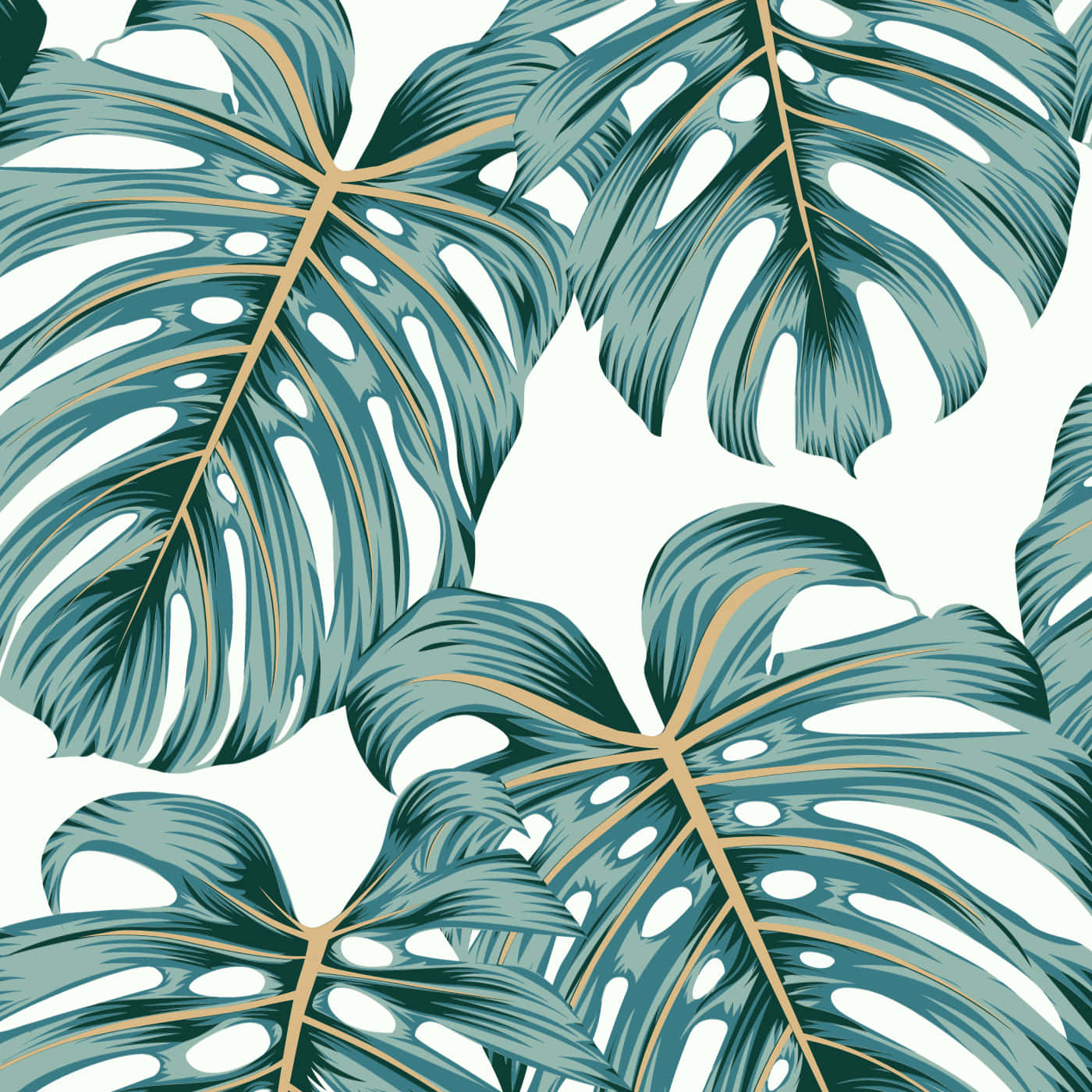 Monstera Leaf Plant Aesthetic Illustration Wallpaper
