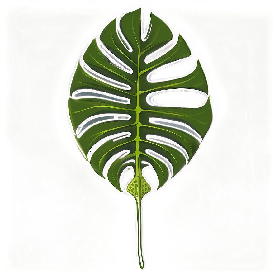 Monstera Leaf Sketch Png 70 PNG