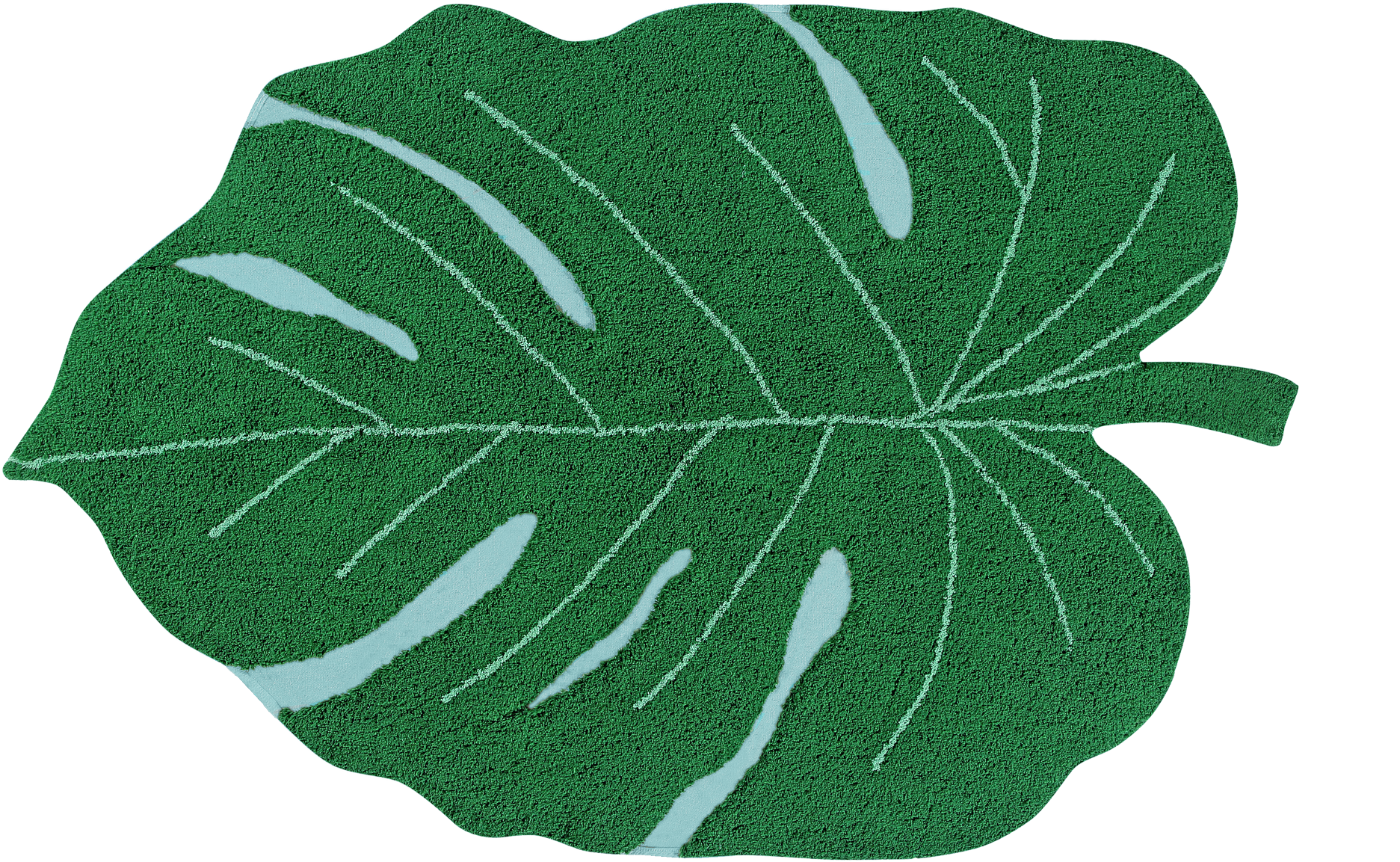 Monstera Leaf Texture PNG