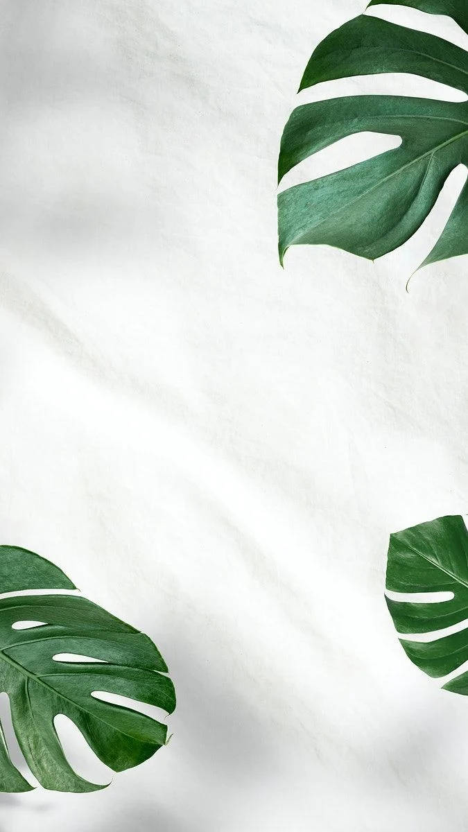 Monstera Leaves Green And White Aesthetic Wallpaper