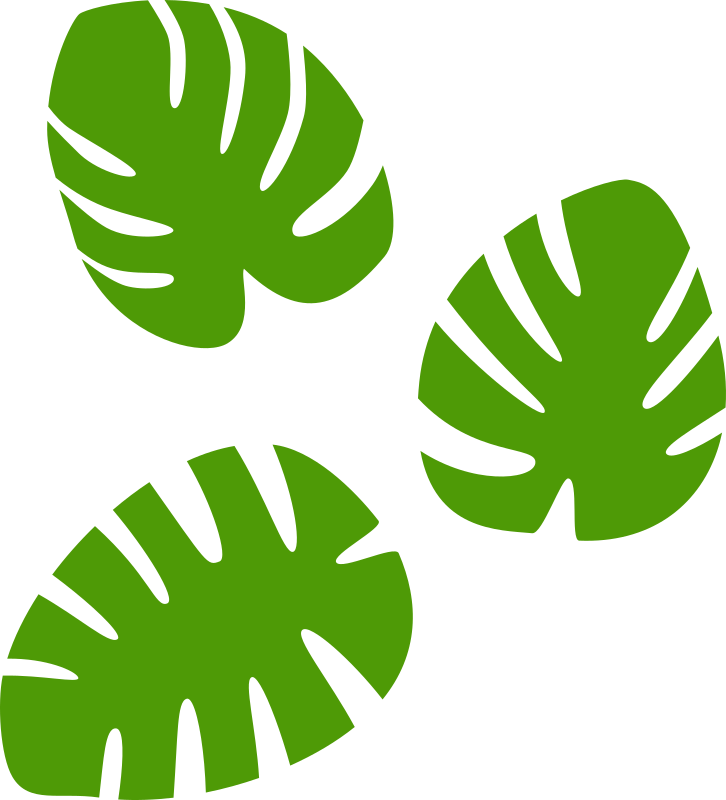 Monstera Leaves Pattern PNG