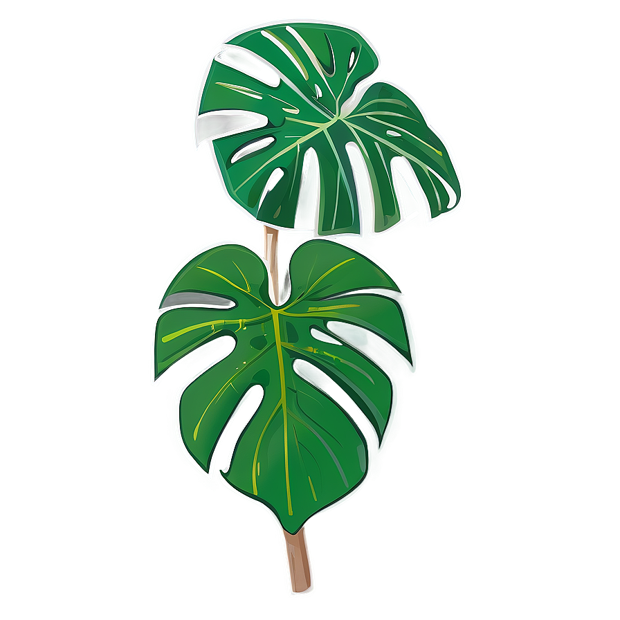 Monstera Outline Graphic Png 05232024 PNG