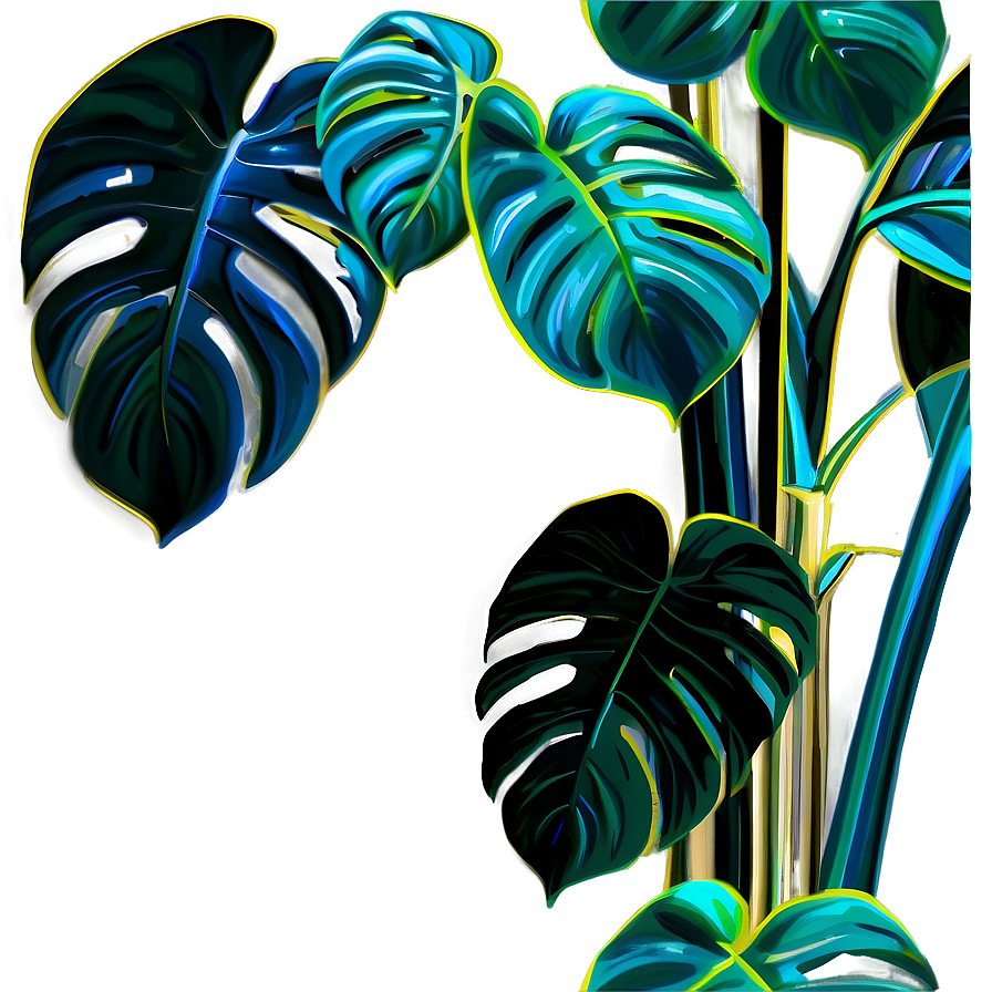 Monstera Plant A PNG