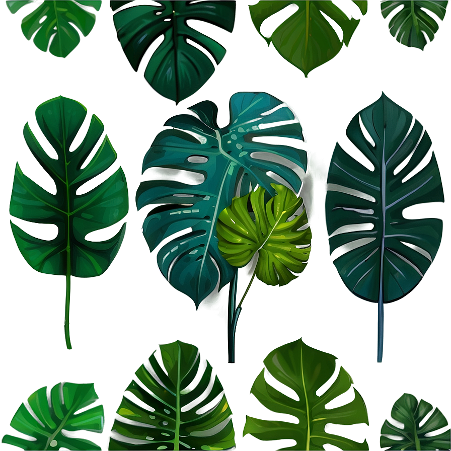 Download Monstera Plant Indoor Png Iiv | Wallpapers.com