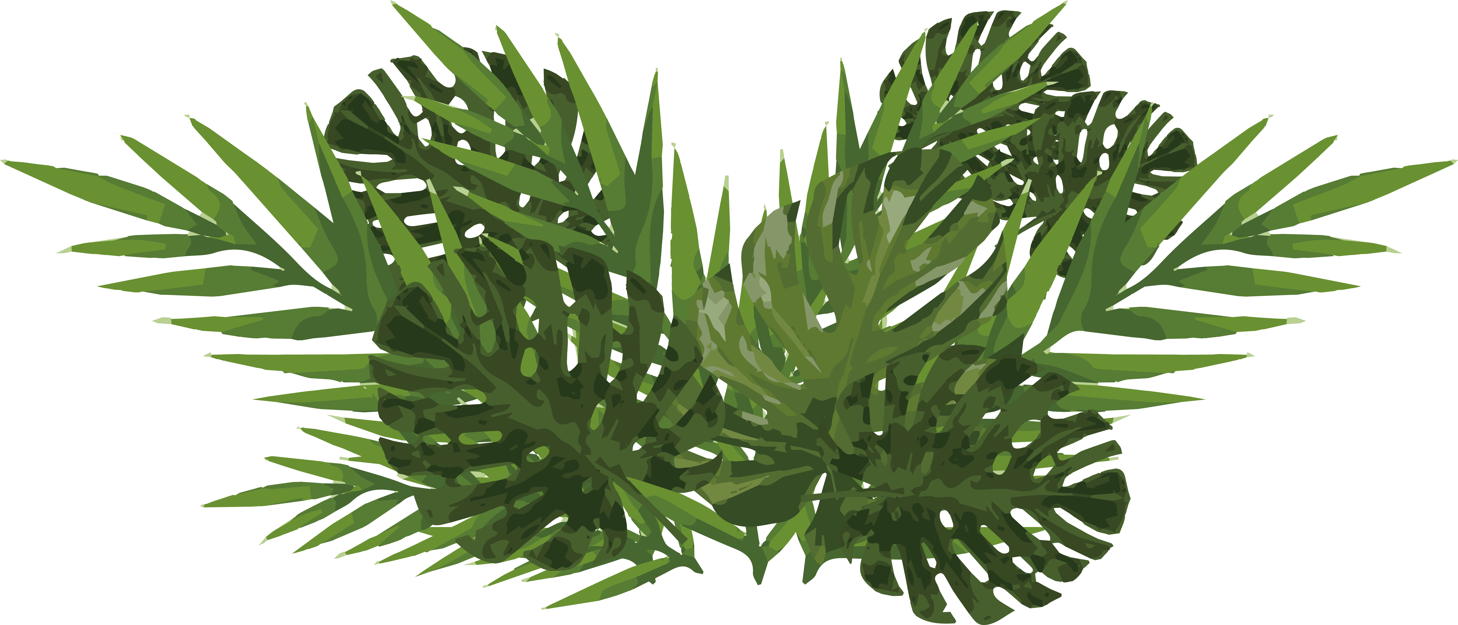 Monsteraand Palm Leaves Illustration PNG