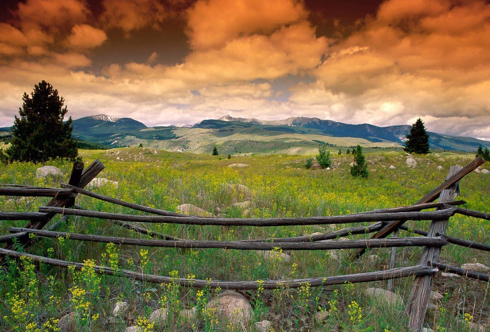 Breathtaking Scenery in Montana