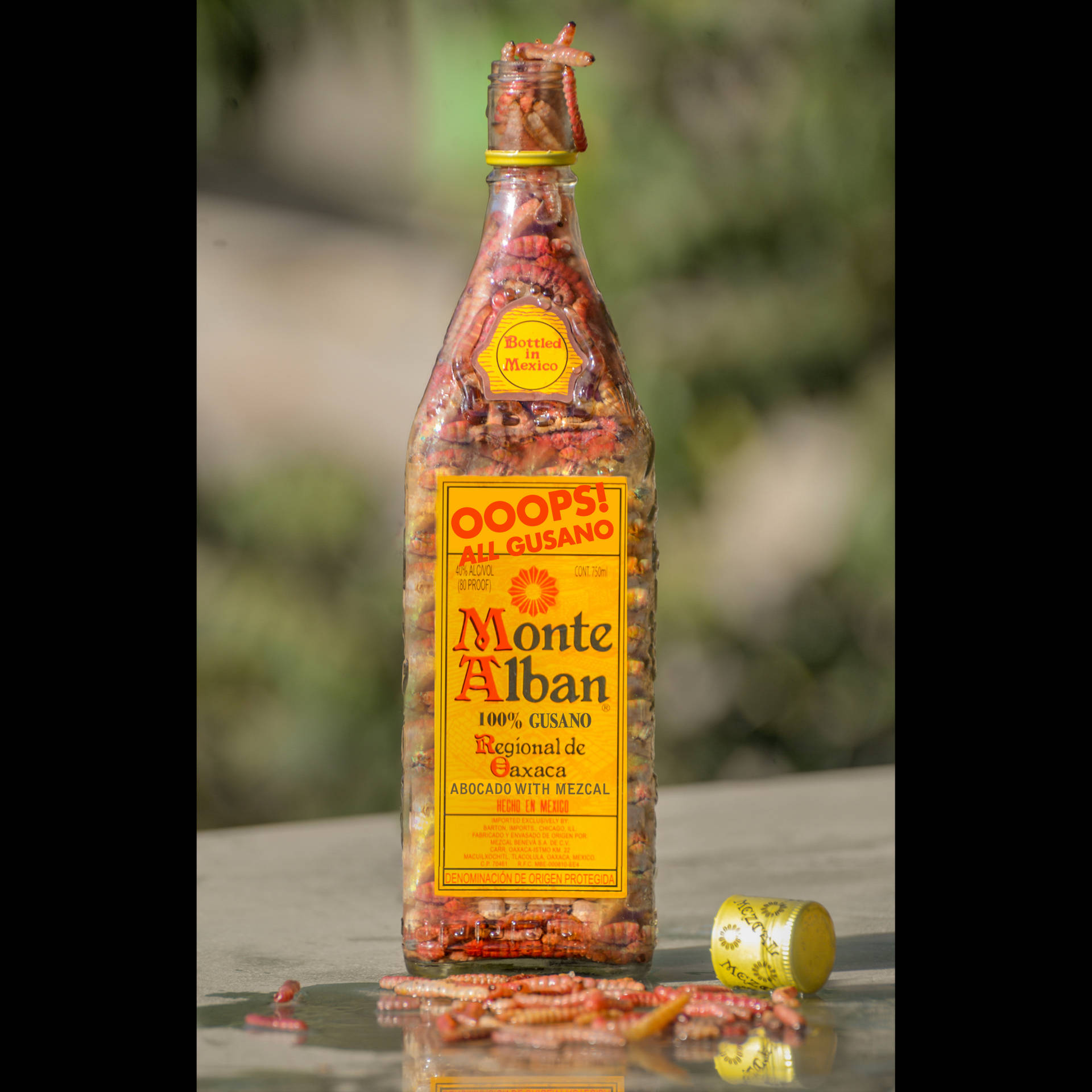 Monte Alban Mezcal Filled With Gusano Worms Wallpaper