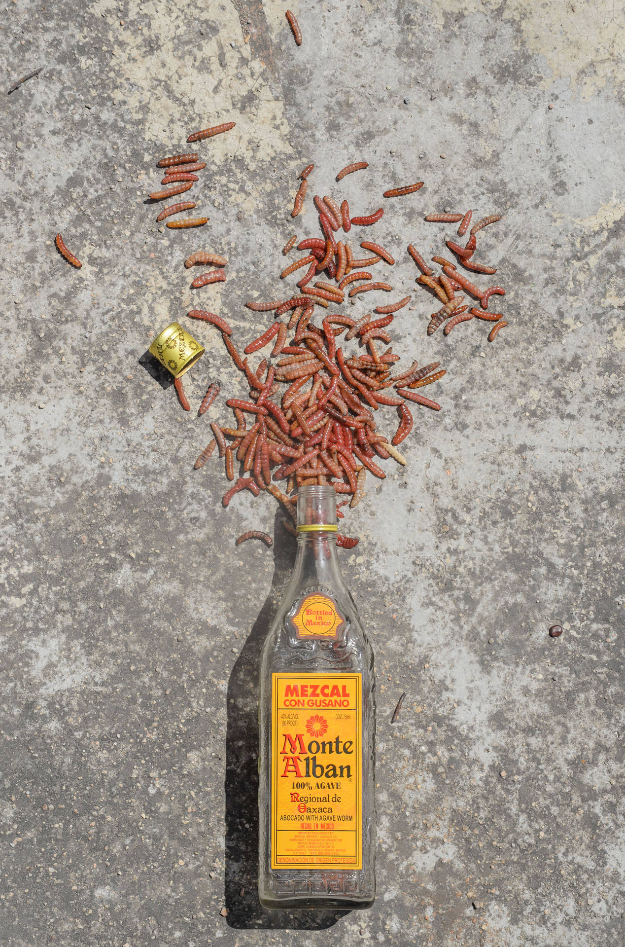 Monte Alban Mezcal Tequila with Spilled Agave Worms Wallpaper