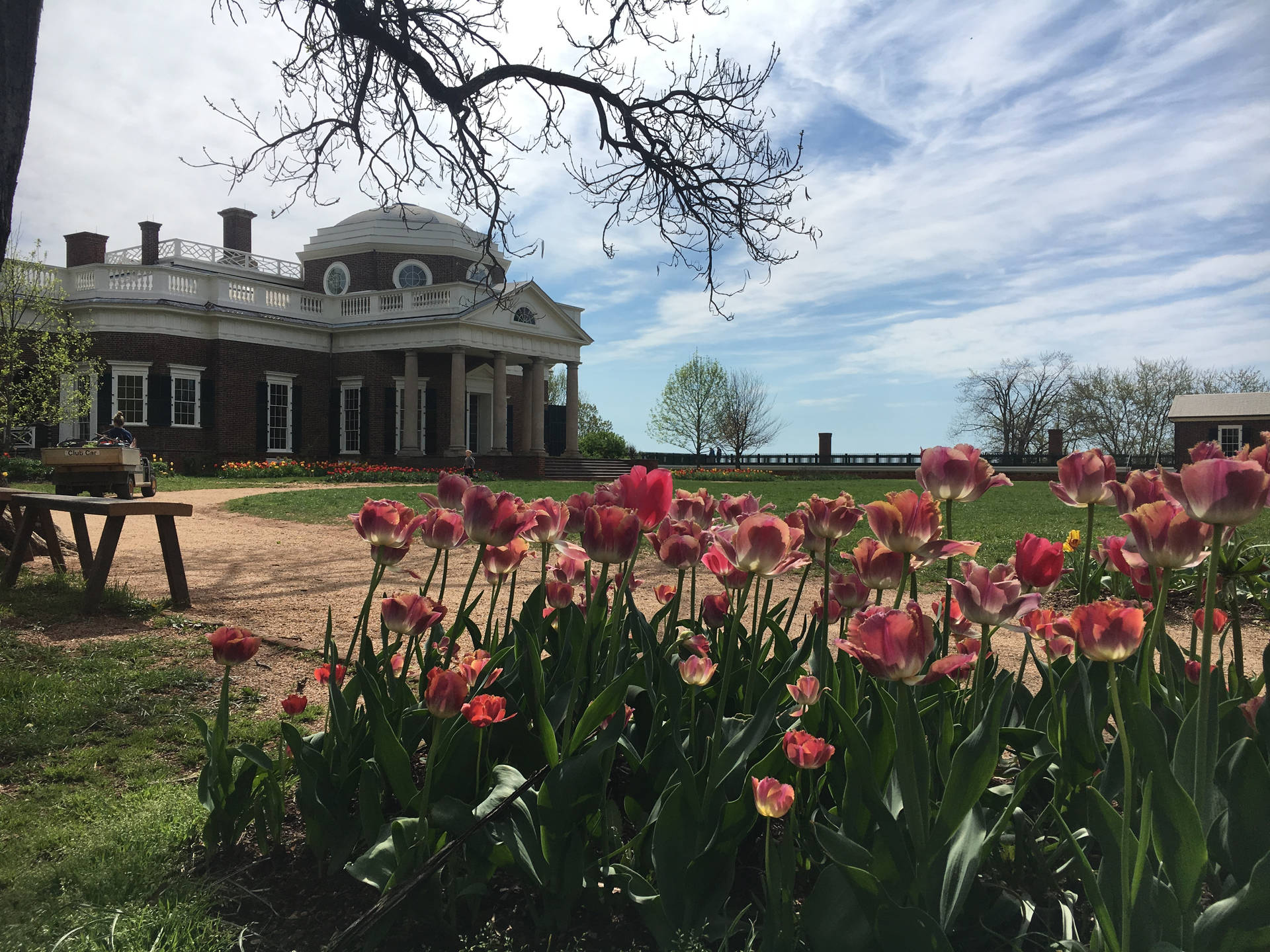 Monticello And Pink Flowers Wallpaper