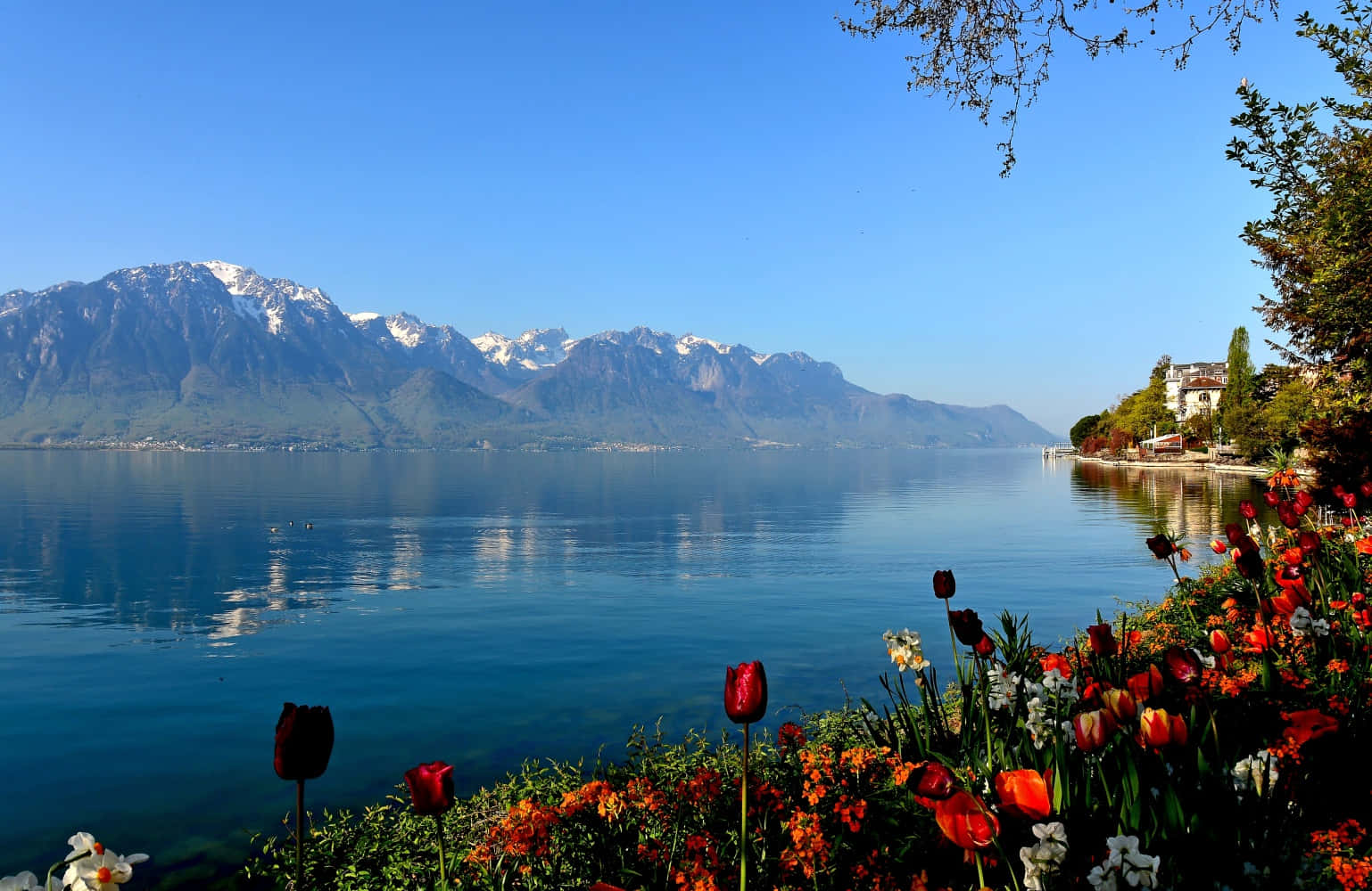 Montreux Lake Geneva Springtime Wallpaper