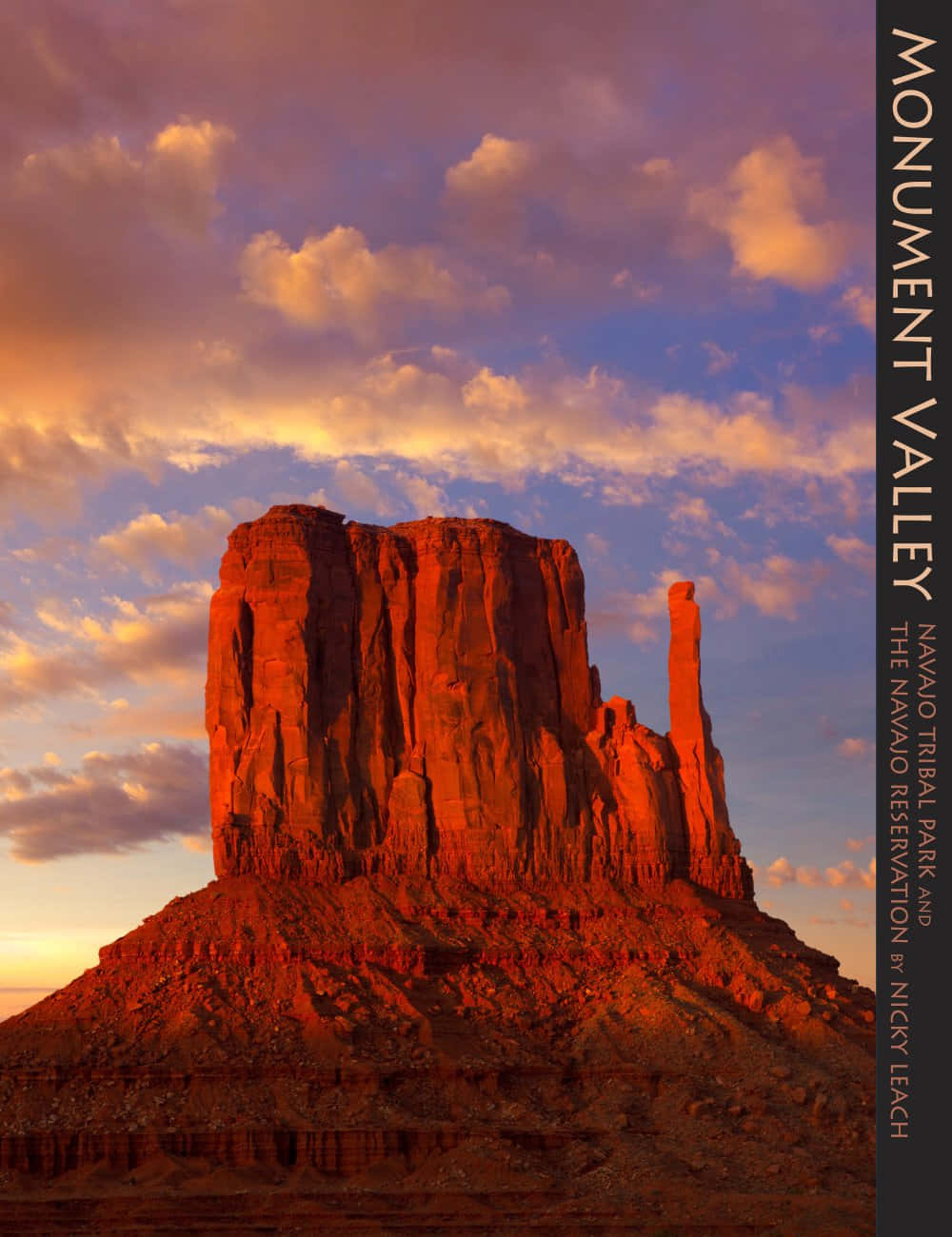 Copertinadel Libro Del Parco Tribale Navajo Di Monument Valley Sfondo
