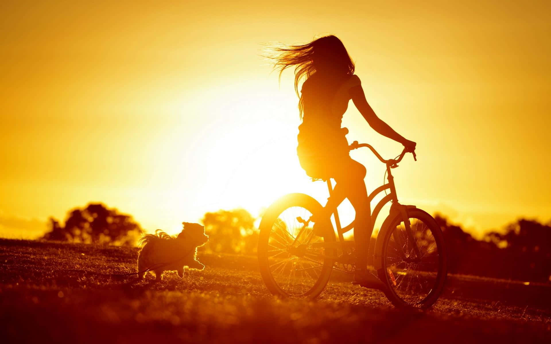 Einefrau Fährt Fahrrad
