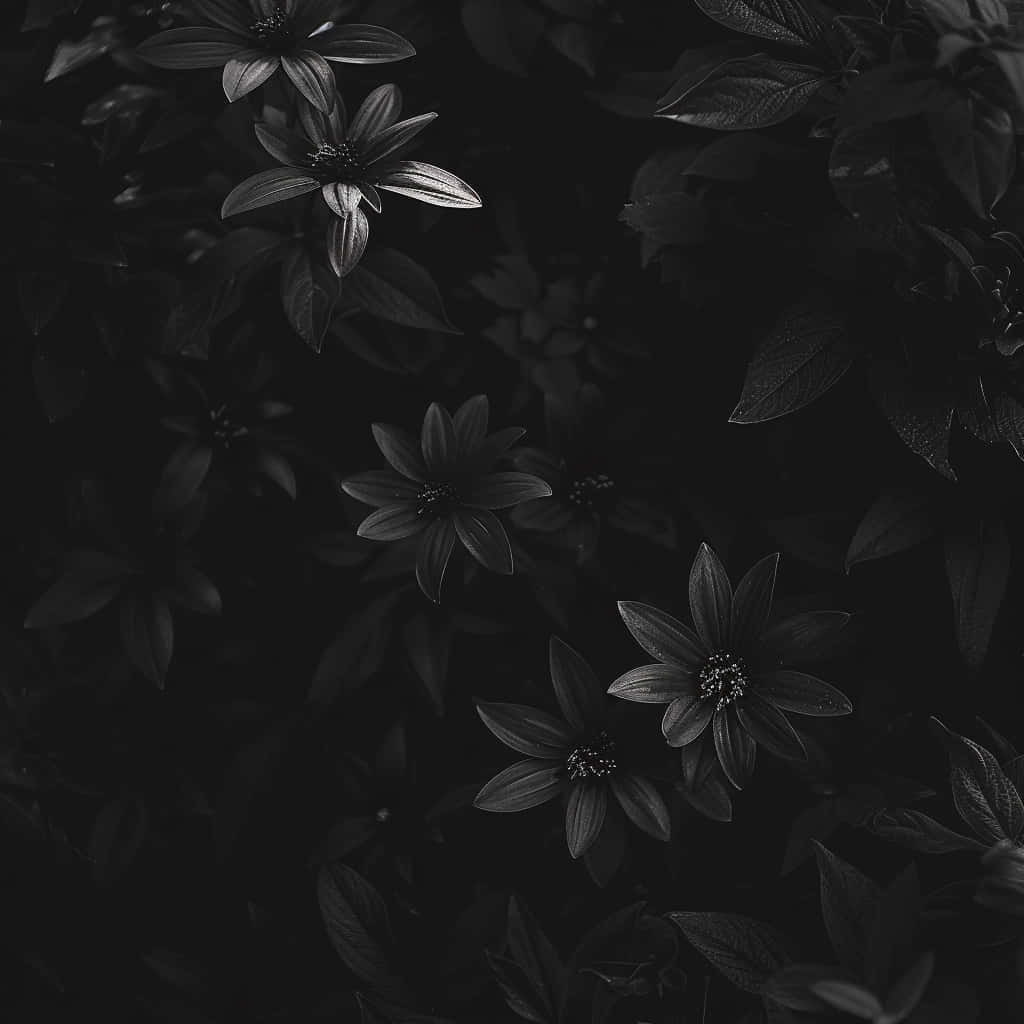 Moody Floral Darkness.jpg Wallpaper