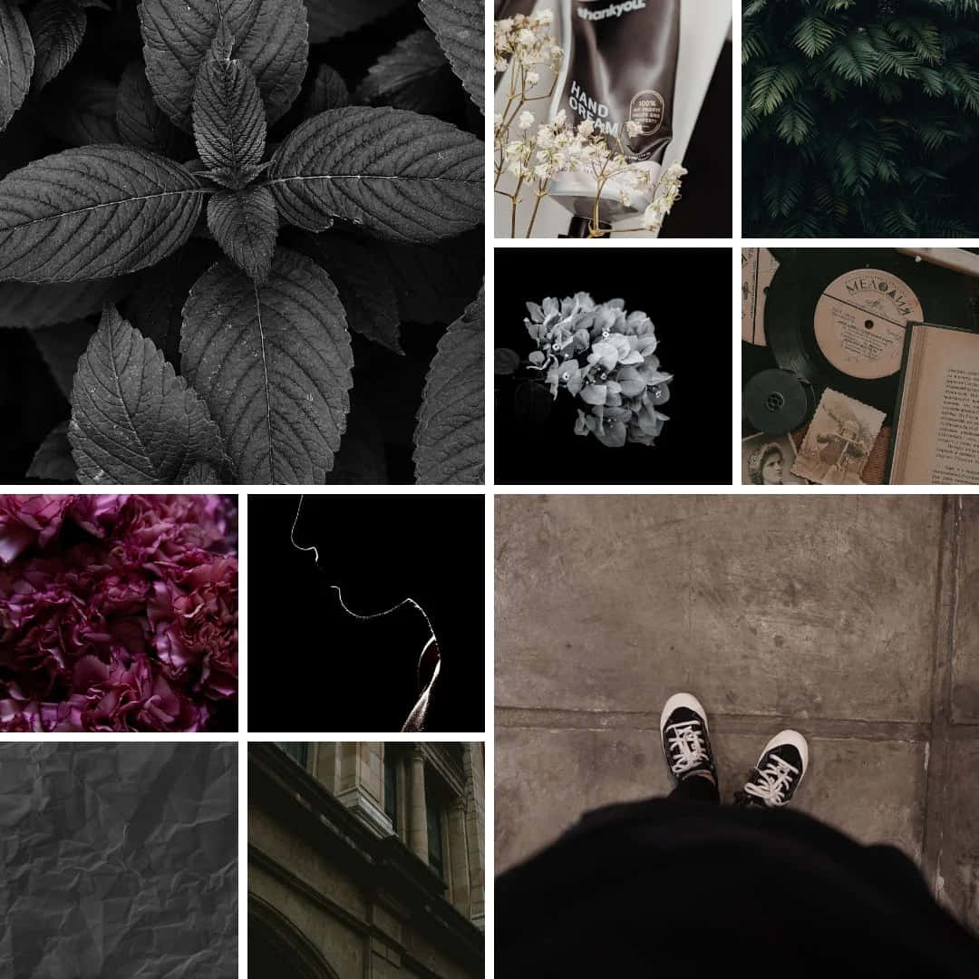 Moody_ Nature_and_ Objects_ Collage Wallpaper